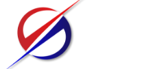 Dynamic Security Services